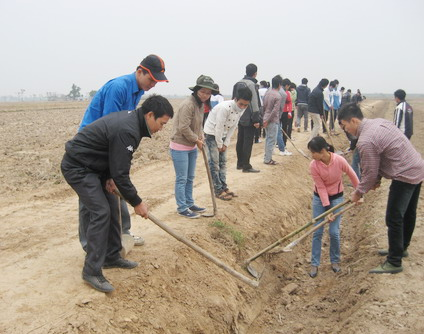 Hanoi’s agricultural land restructuring for new rural development - ảnh 1